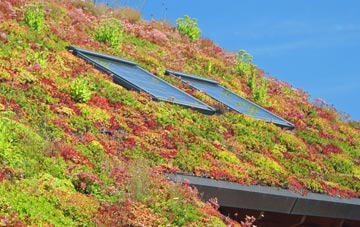 Thornton Le Moor living roof systems