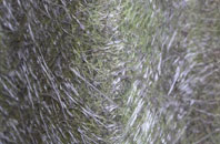 Thornton Le Moor fibreglass roof work